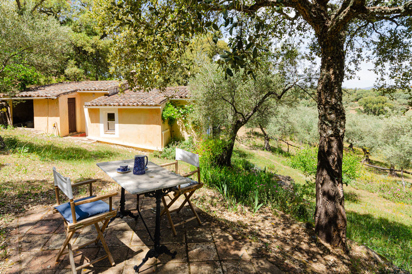 Jardín trasero / terraza